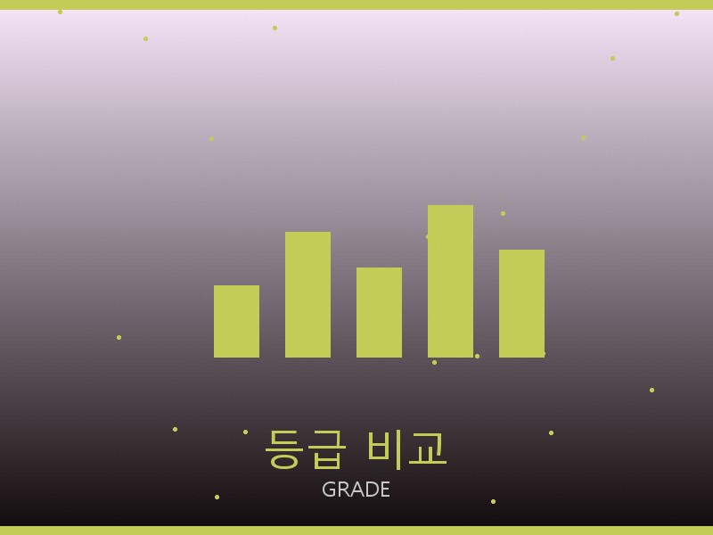 미우미우 뚜주흐 레플 사이트 등급 기준 비교